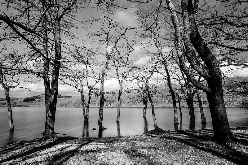 2018_03_24_lac de panneciere (0021).jpg - Lac de Pannecière (mars 2018)